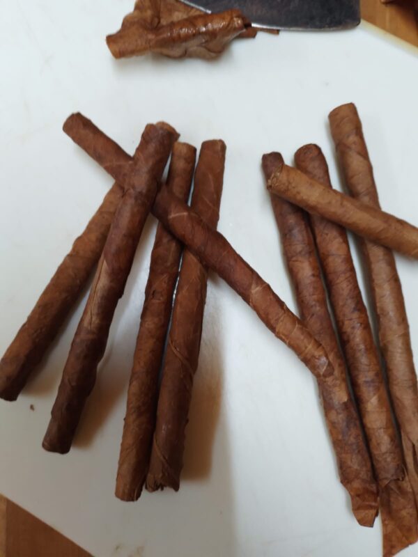 Cigarros y Puros - Image 5