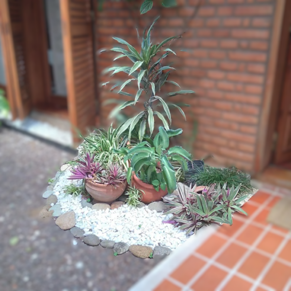 Parques Jardines - Image 3